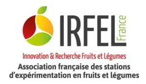 logo Irfel